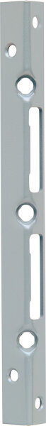 ABUS Sicherheits-Winkelschließblech für Haustüren SSB400 25x25 CLC/DFNLI